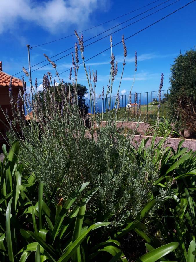 Casa Benedita Ponta do Pargo Eksteriør billede
